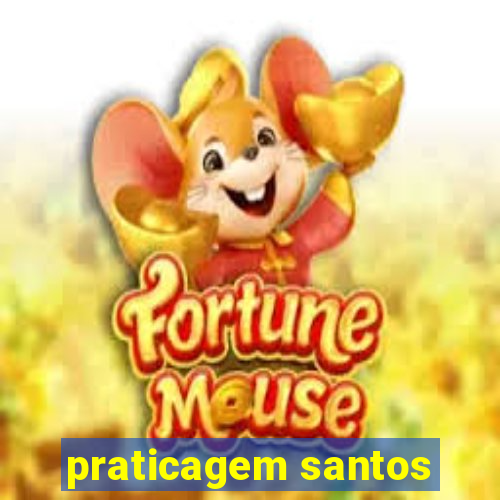 praticagem santos